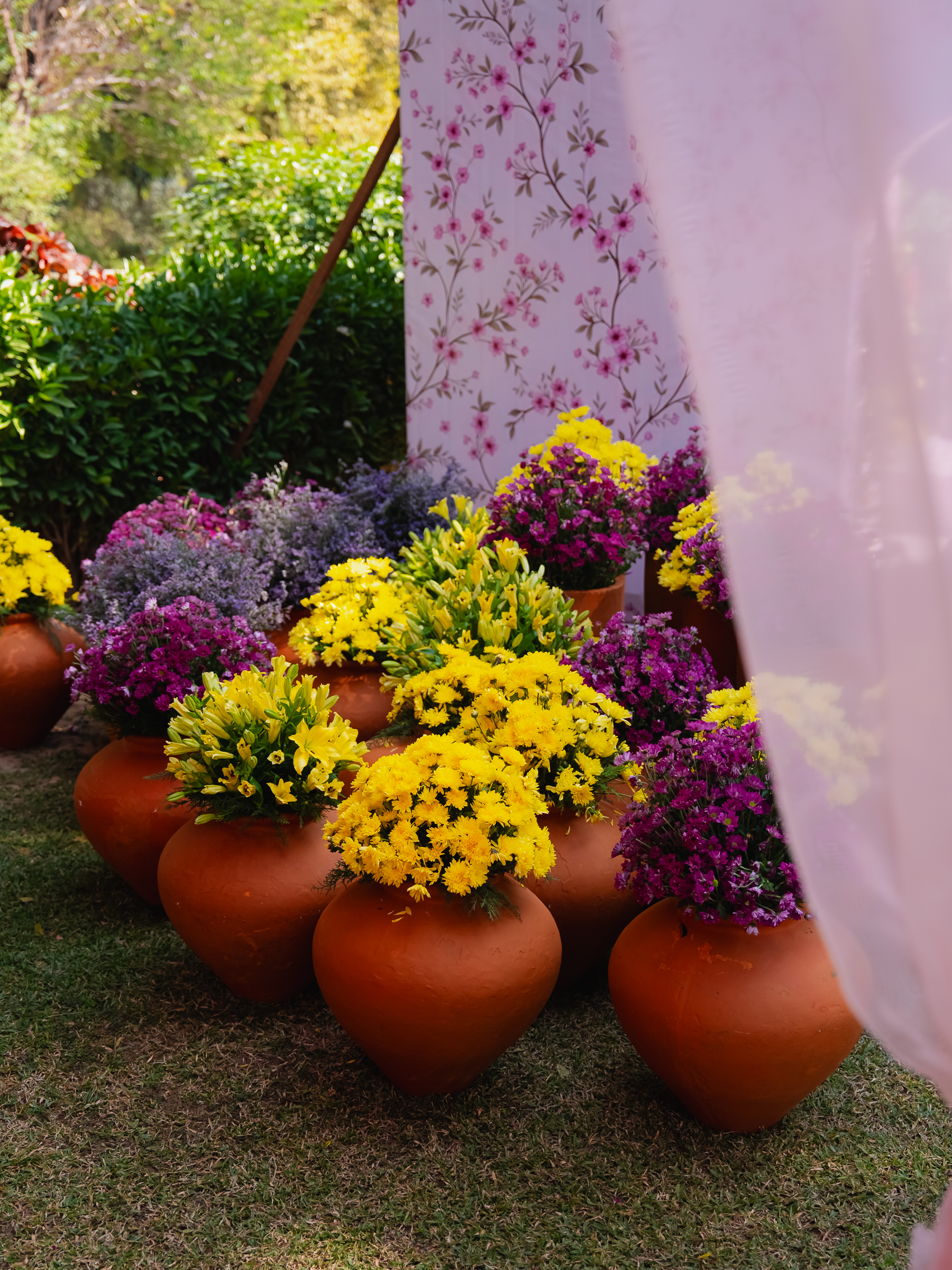 Image from Akhila Anand